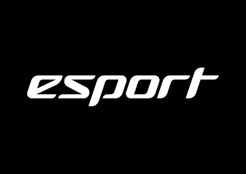 esport.fi